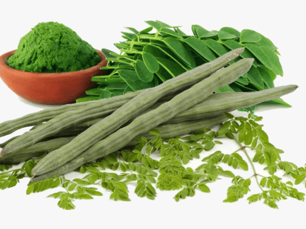 The Age of Superfoods:&nbsp;Moringa