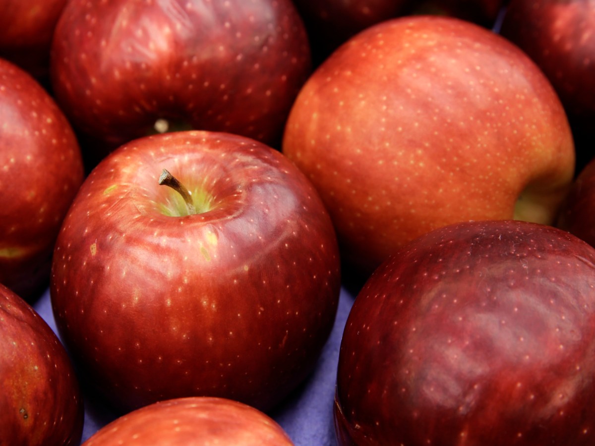 Researchers in India develop cheap edible coating for apples to overcome cold chain&nbsp;challenges